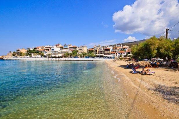 Photo of Others in Skala Marion