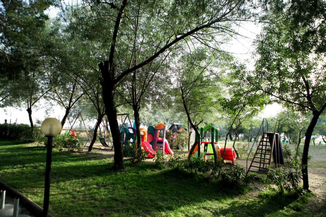 Photo of Others in Divjake