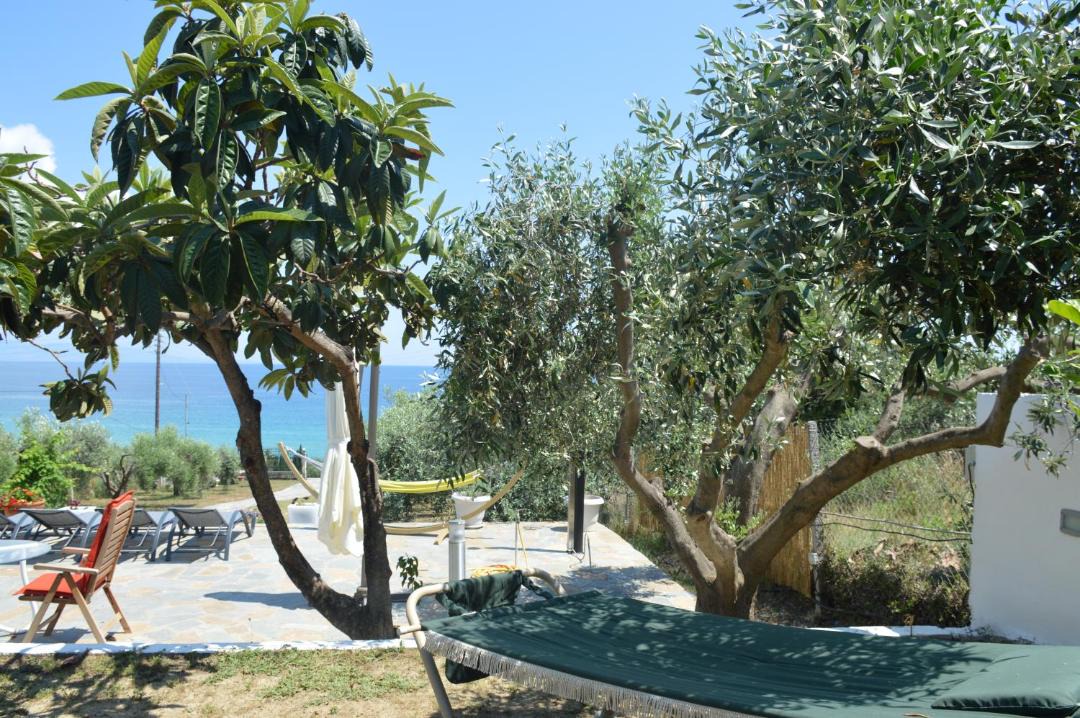 Photo of Others in Pangaio