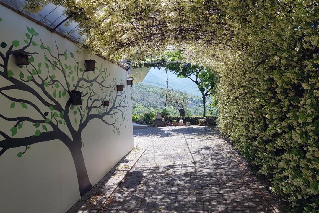 Photo of Outdoor in Dajt