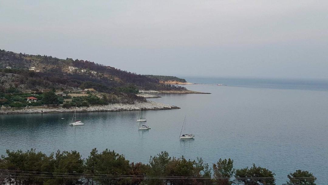 Photo of Others in Thasos