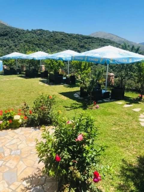 Photo of Others in Lukove