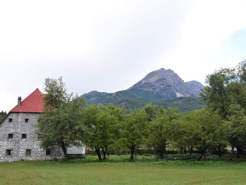 Photo of Others in Valbone