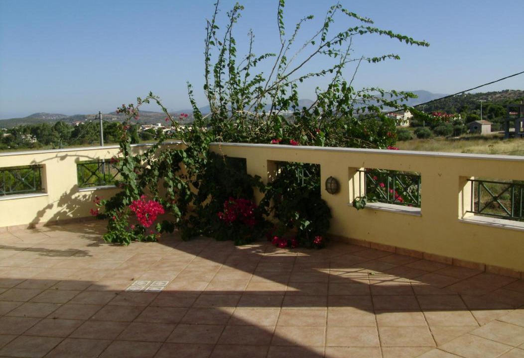 Photo of Others in Rafina-Pikermi