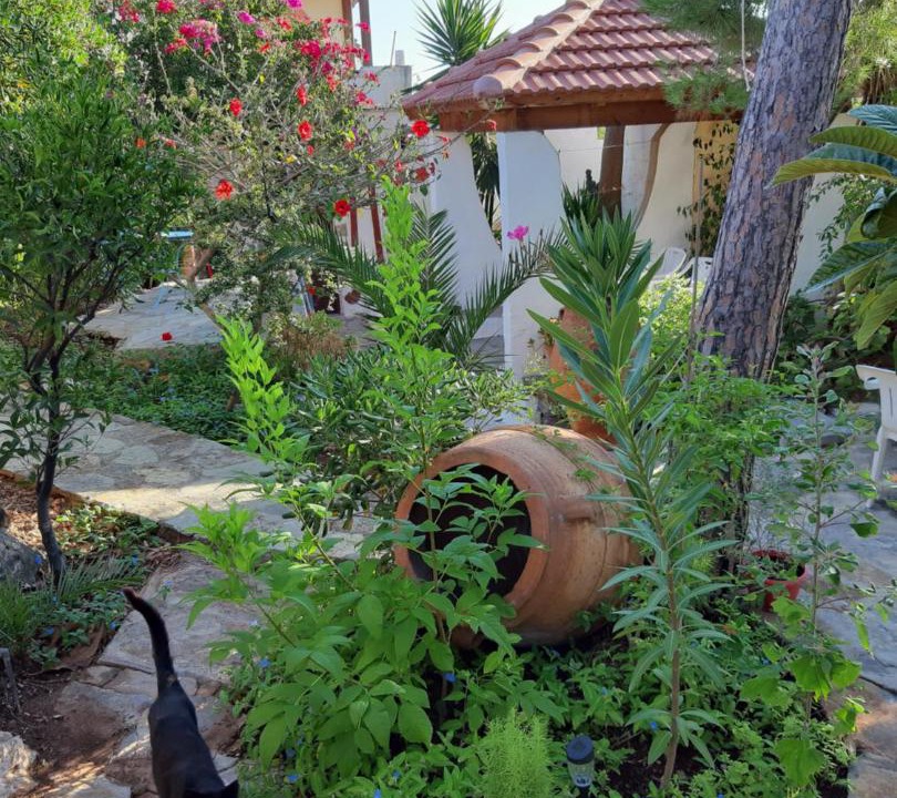 Photo of Others in Agios Nikolaos Town