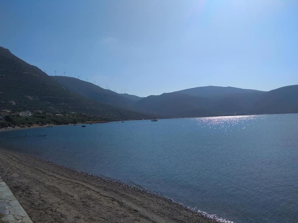 Photo of Others in Skroponeria