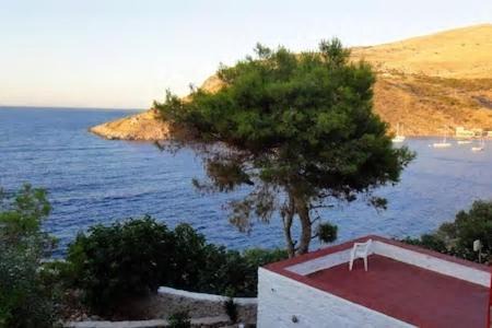 Photo of Others in Hydra