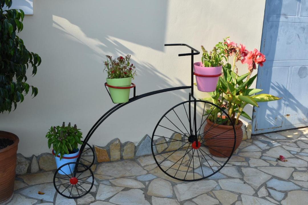 Photo of Others in Dhermi