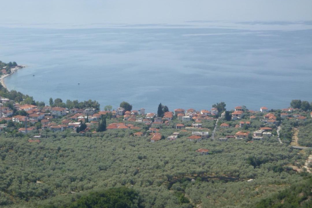 Photo of Others in Kala Nera