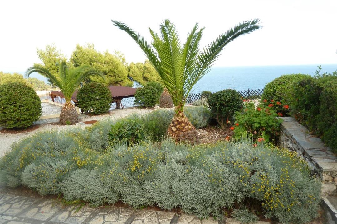 Photo of Others in Alonissos