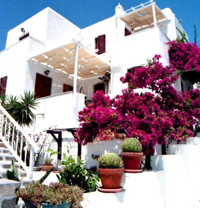 Photo of Others in Mykonos Town