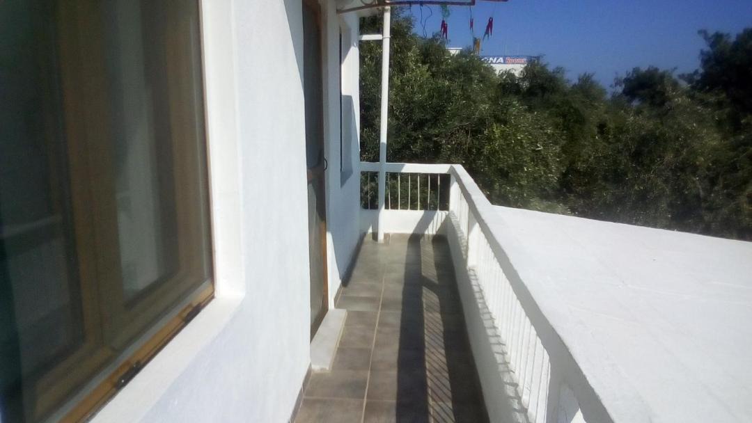 Photo of Others in Aliki