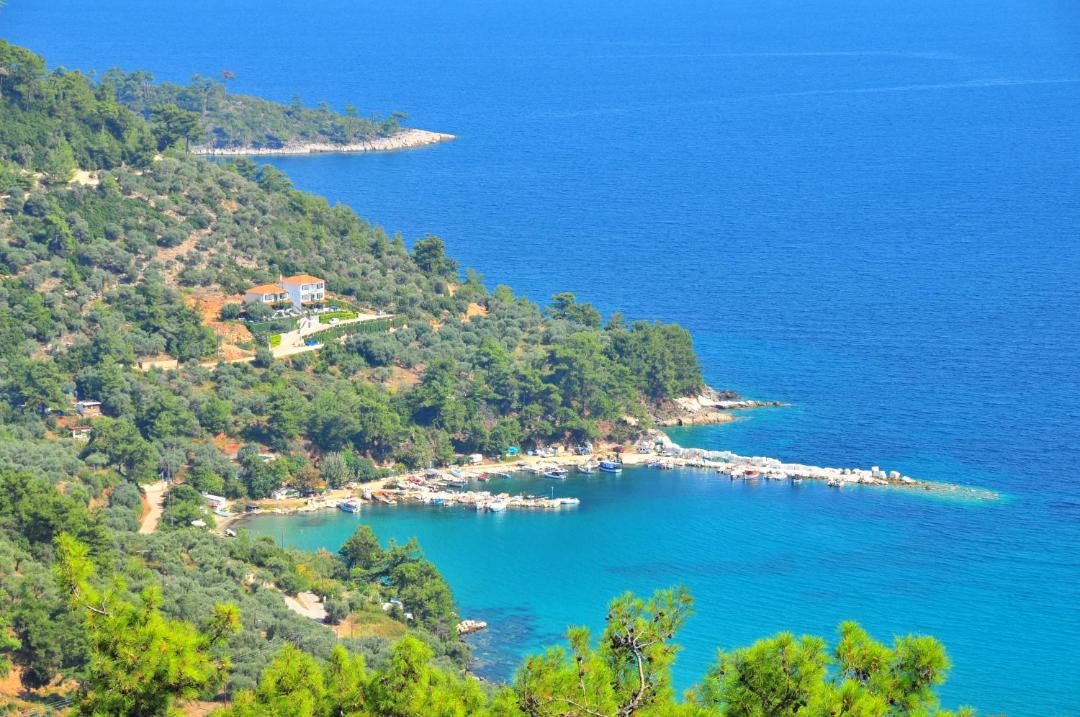 Photo of Others in Golden Beach