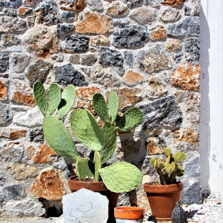 Photo of Others in Plaka