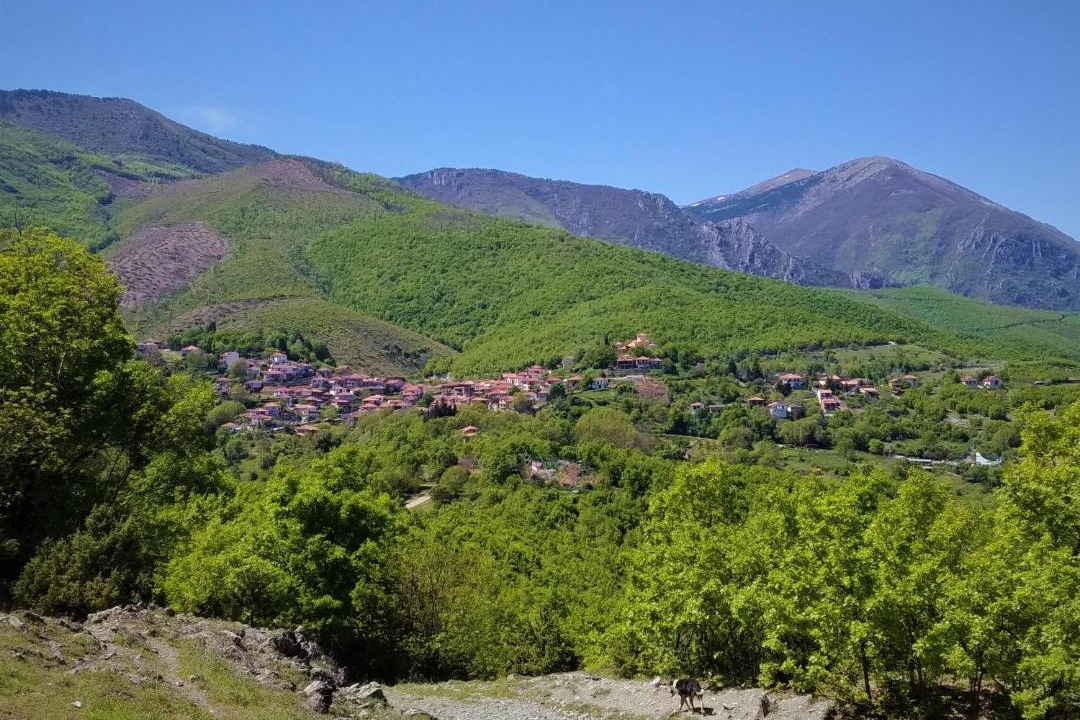 Photo of Others in Arkochori