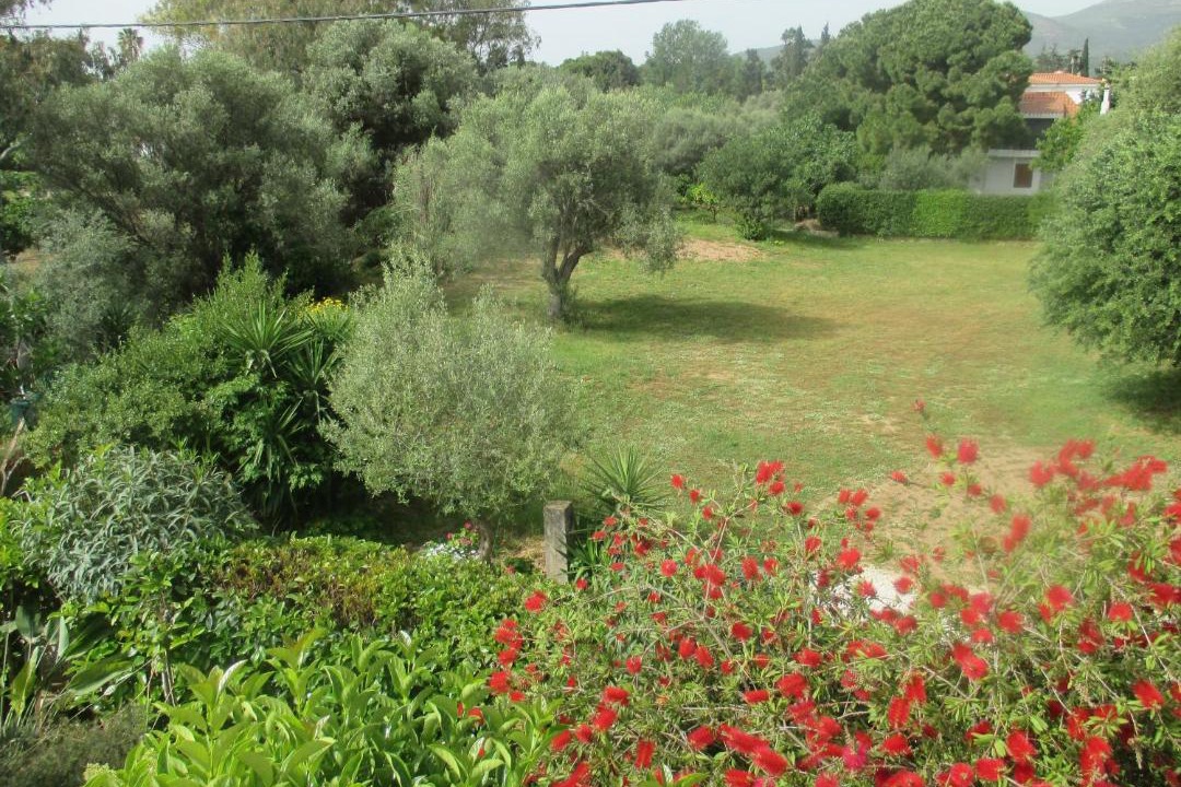 Photo of Others in Nea Makri
