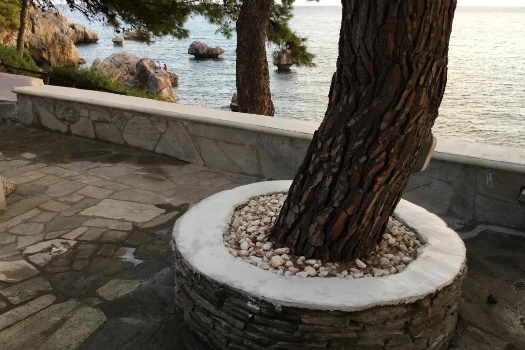 Photo of Others in Kassandra