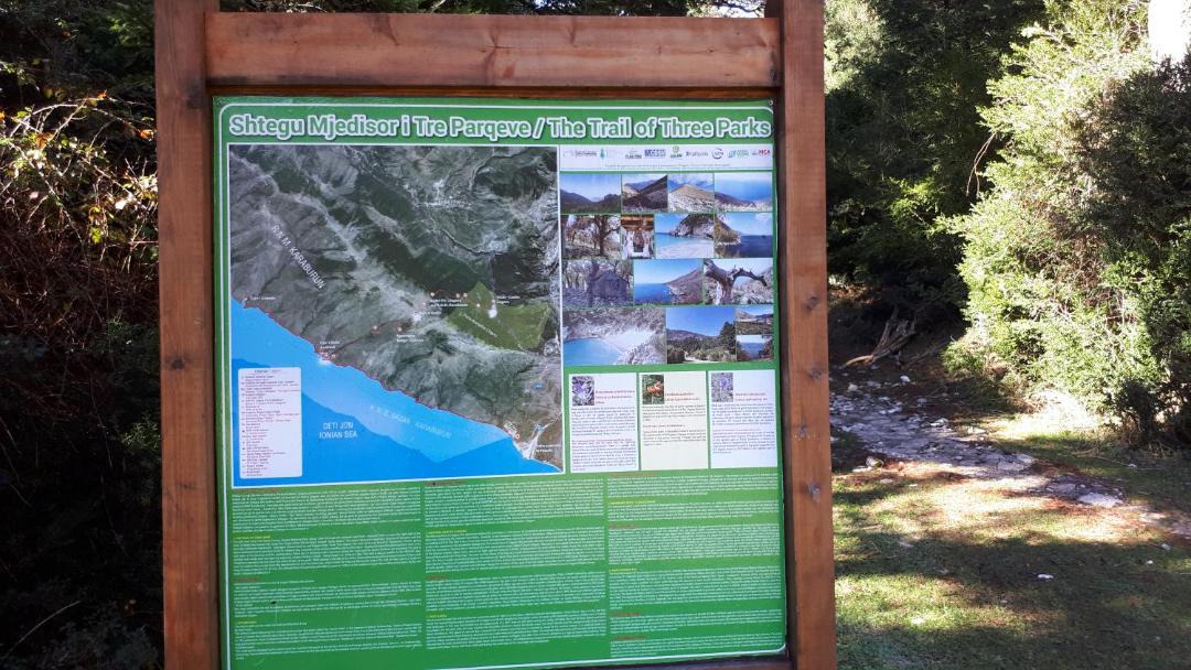 Photo of Others in Llogara National Park