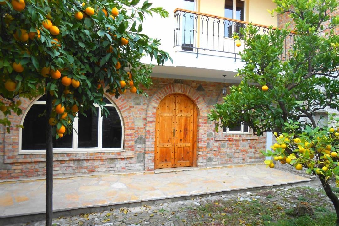 Photo of Others in Elbasan