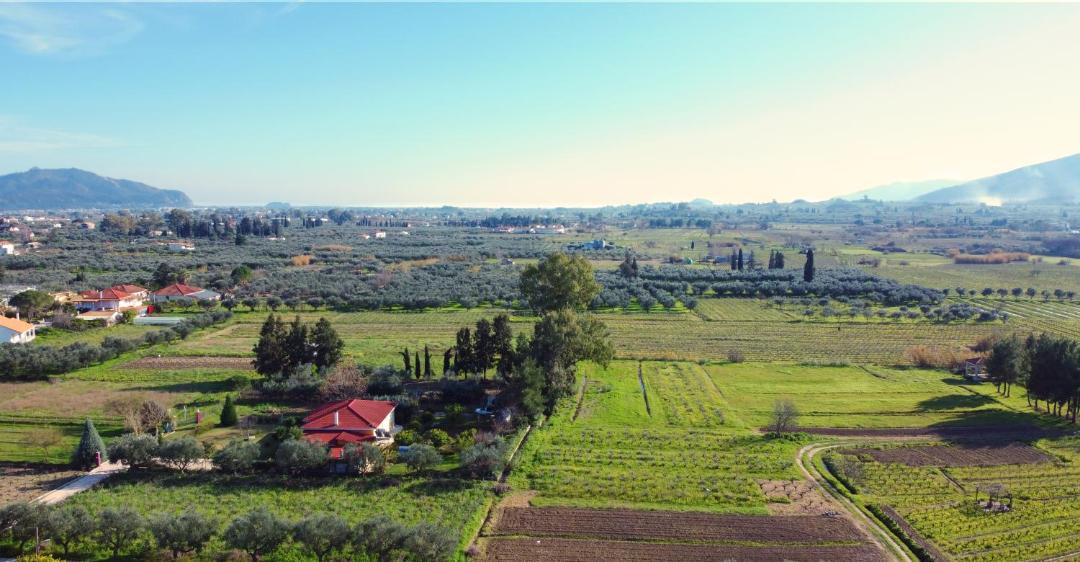 Photo of Others in Ayios Kirikos