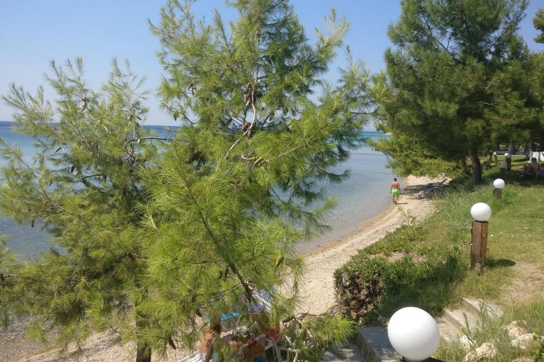 Photo of Others in Paradhisos