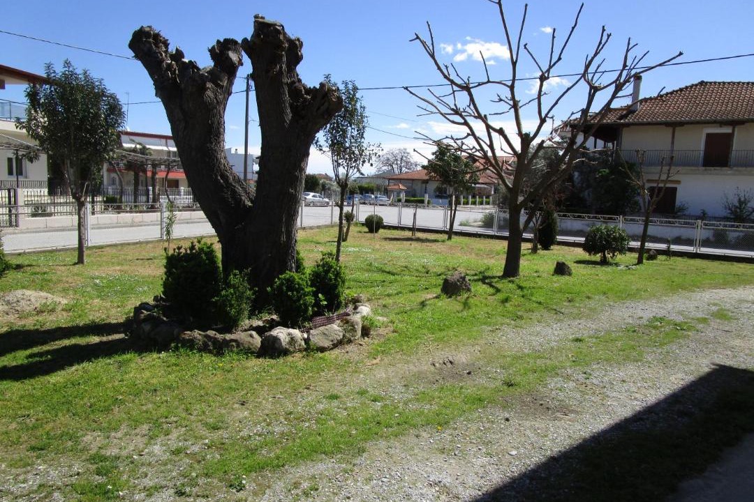 Photo of Others in Korinos