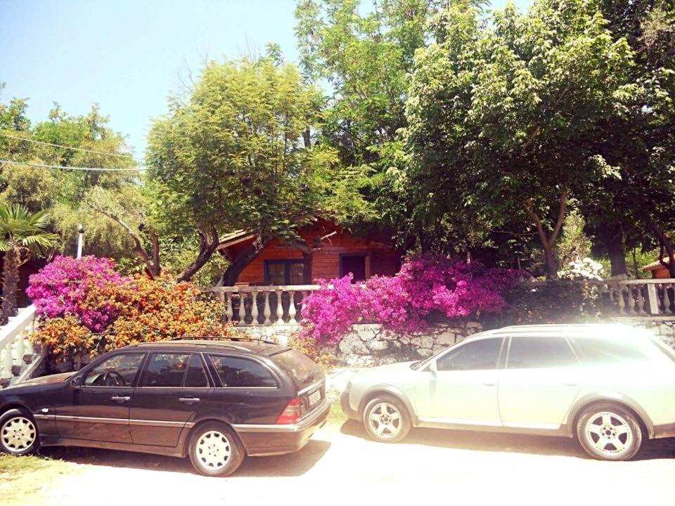 Photo of Others in Dhermi