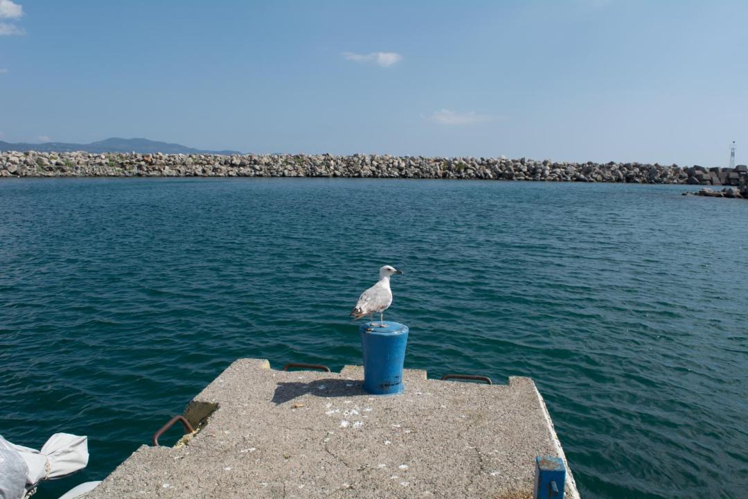 Photo of Outdoor in Kalamata Marina