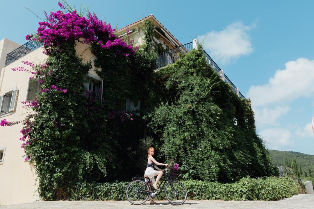 Photo of Others in Fiskardo