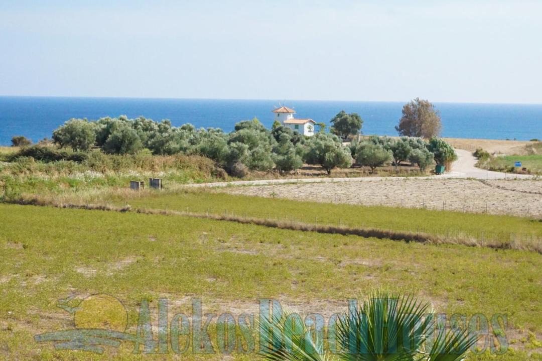 Photo of Outdoor in Kounopetra