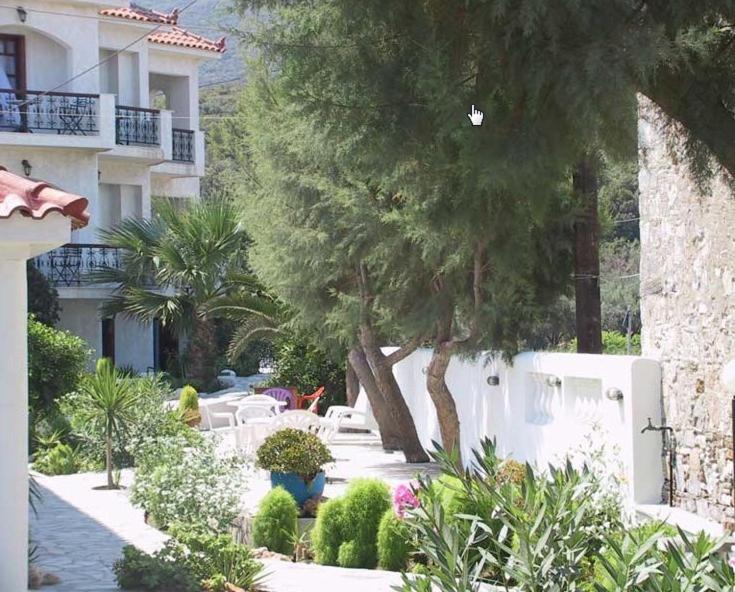 Photo of Others in Kokkari