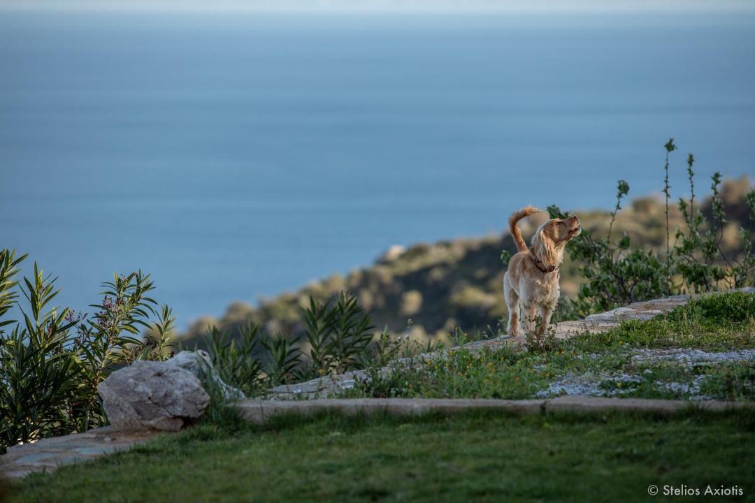 Photo of Others in Kymi-Aliveri