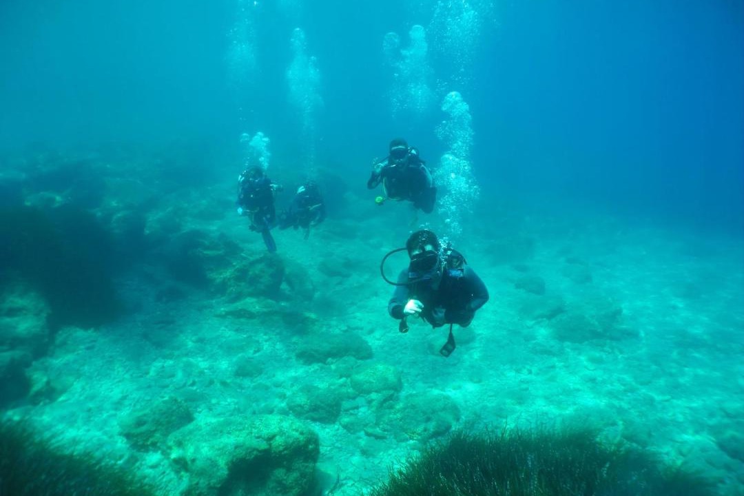 Photo of Others in Laganas