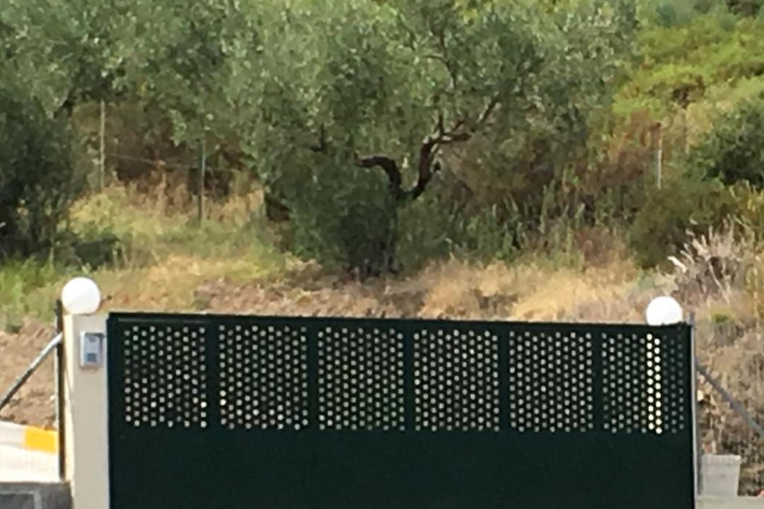 Photo of Others in Aristotelis