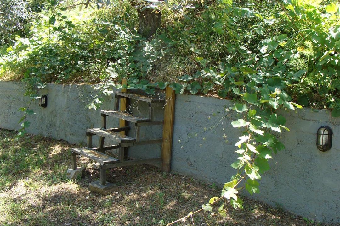 Photo of Others in Pirgadikia