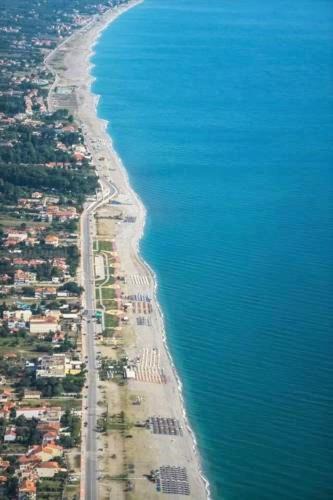 Photo of Others in Velika