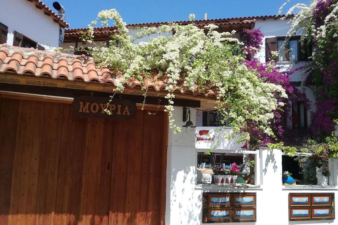 Photo of Others in Skiathos Town