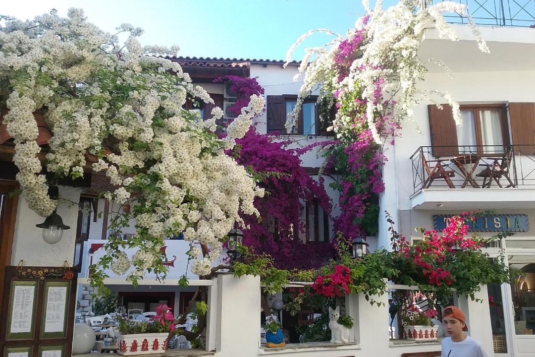 Photo of Others in Skiathos Town