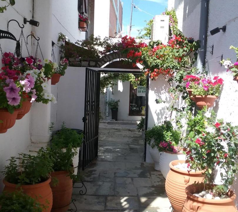 Photo of Others in Skiathos Town