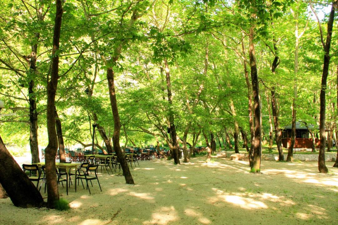 Photo of Others in Vouvopotamos