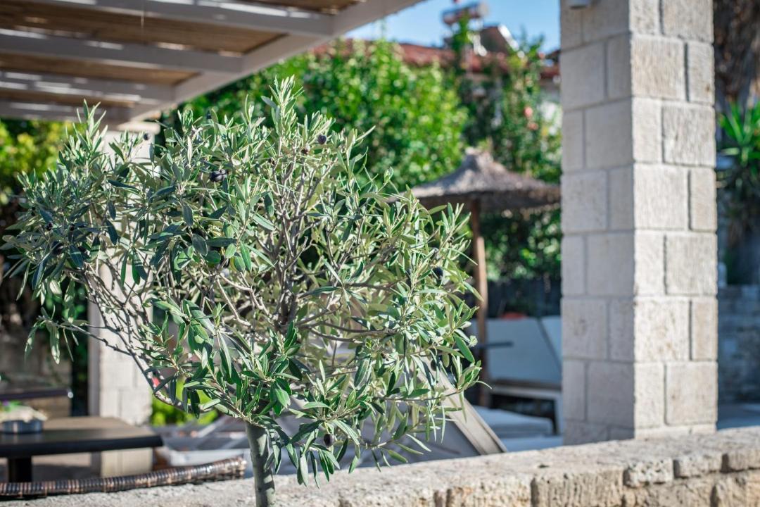 Photo of Others in Afytos