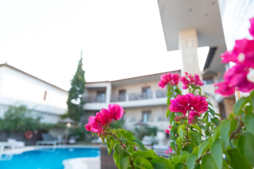 Photo of Patio Balcony in Afytos