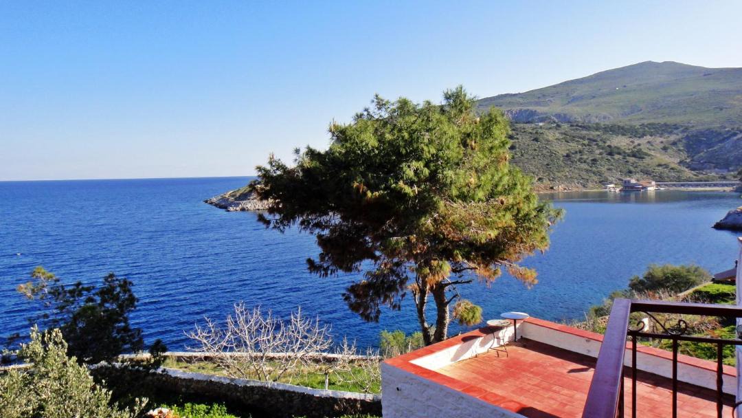 Photo of Others in Hydra