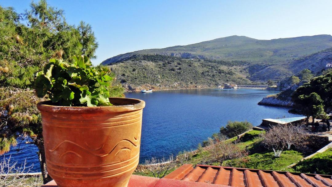 Photo of Others in Hydra