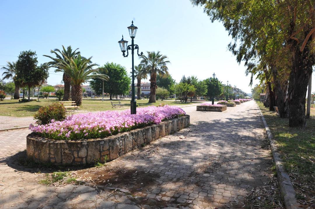 Photo of Others in Paralia Dionysiou