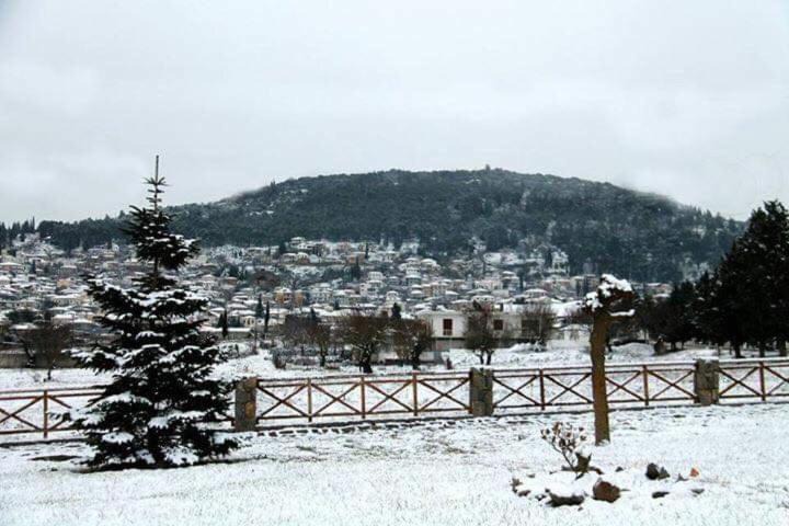 Photo of Others in Koutselio