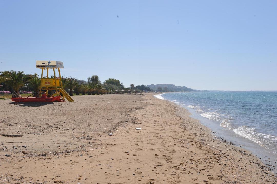 Photo of Others in Paralia Dionysiou