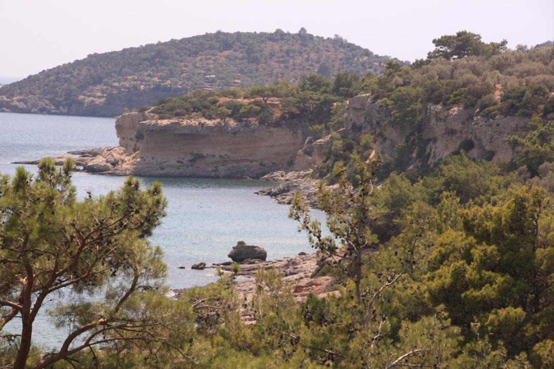 Photo of Others in Marathokampos