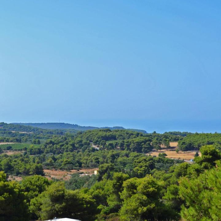 Photo of Others in Koiliomenos