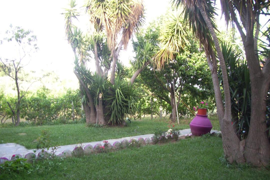 Photo of Others in Kato Vrontou